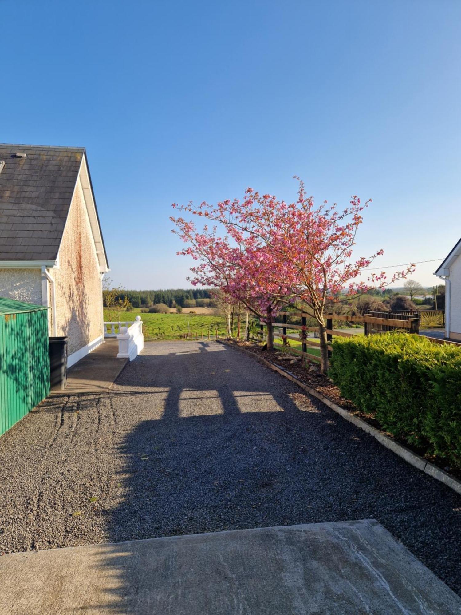 Forest View Dunmore Galway H54P897 Bed & Breakfast Exterior foto