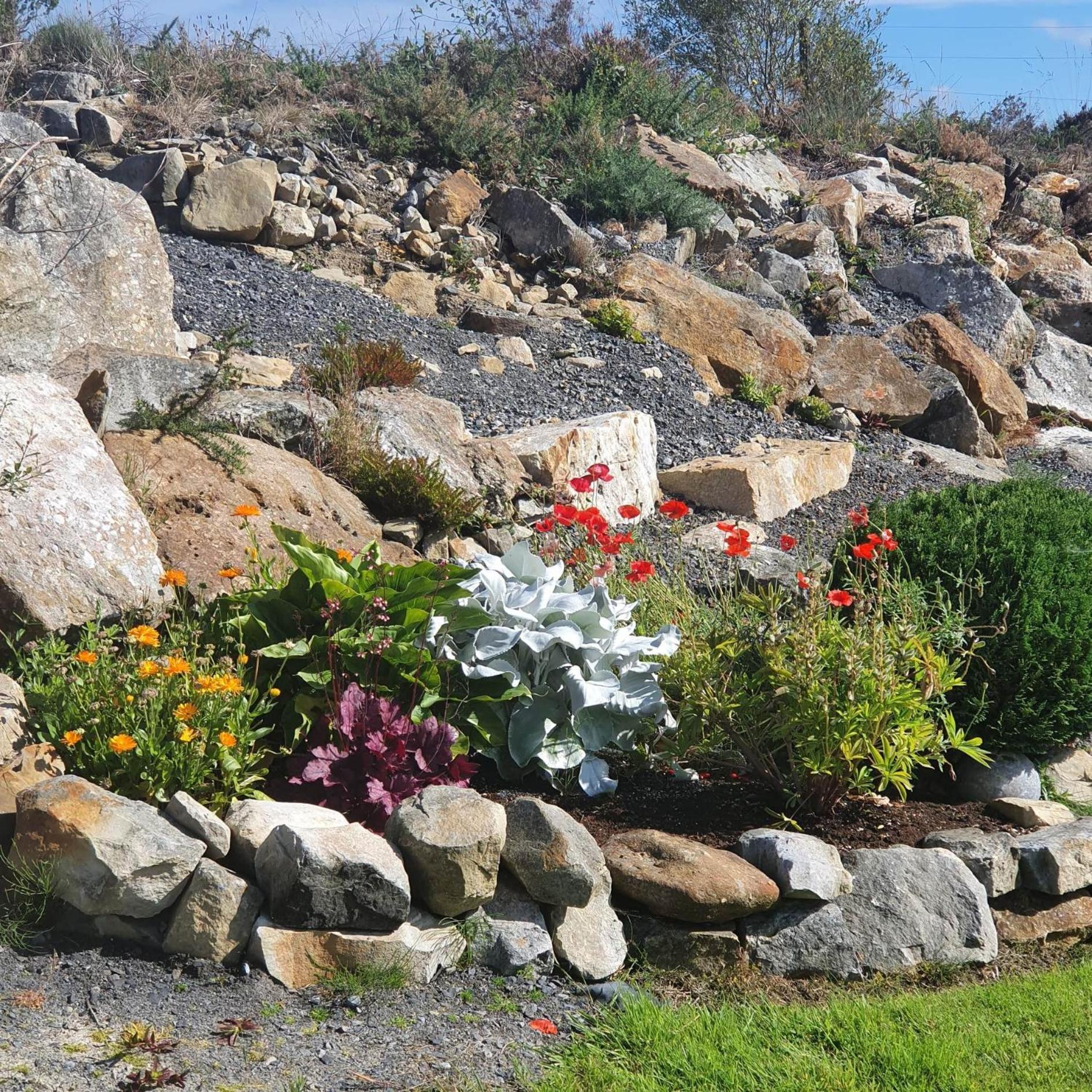 Forest View Dunmore Galway H54P897 Bed & Breakfast Exterior foto